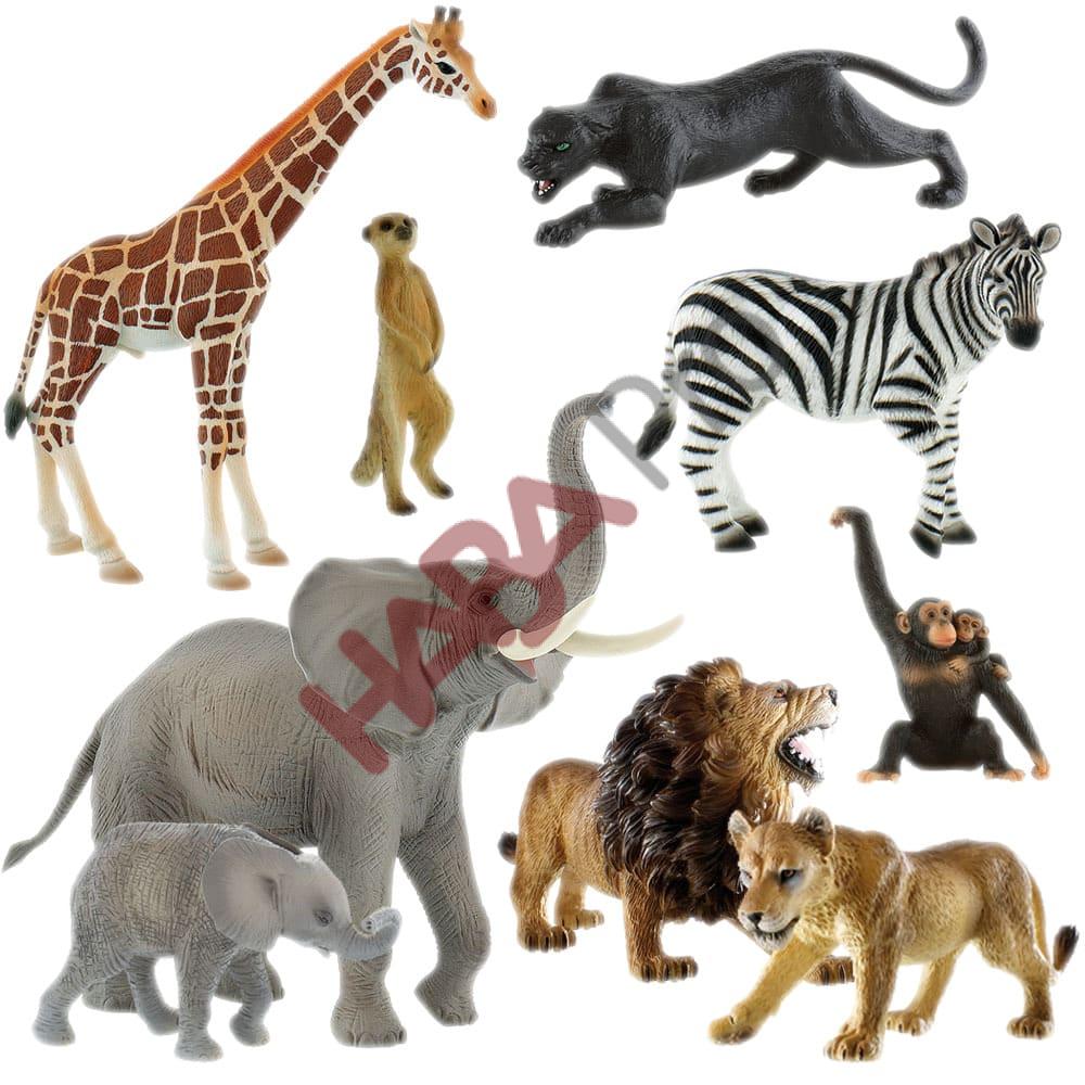 Zestaw Safari