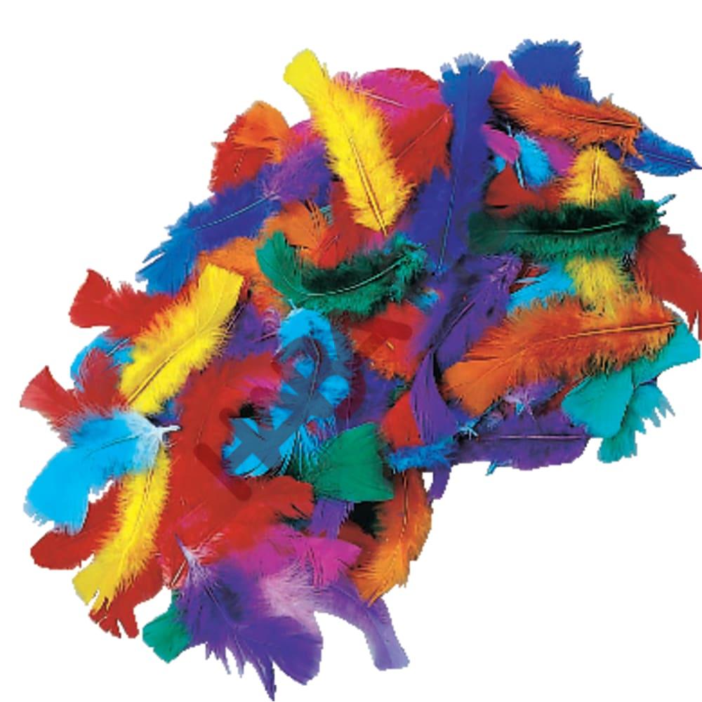 Piórka farbowane barwnikami spożywczymi, 100 g