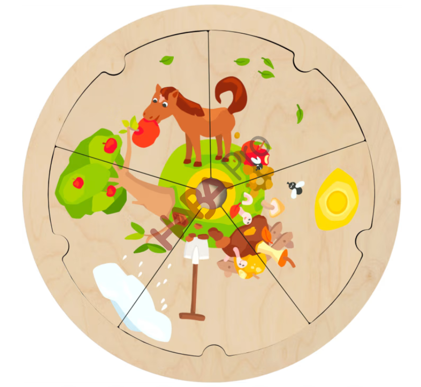Zestaw puzzli "rozwój jabłka"