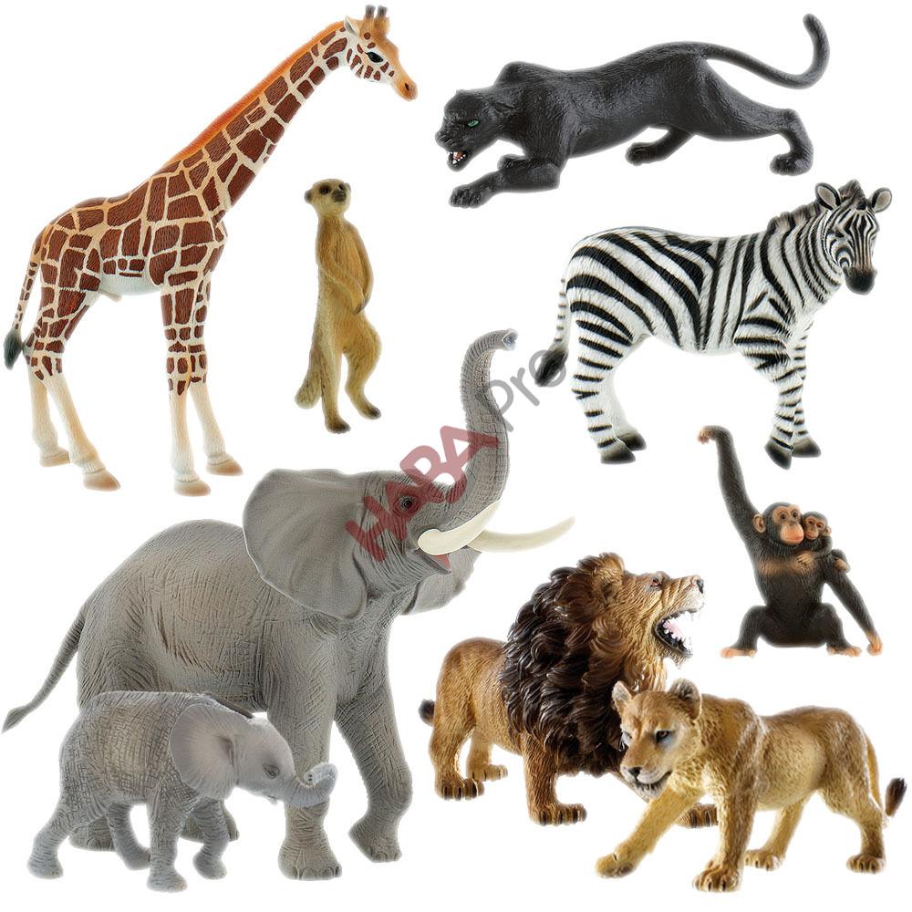 Zestaw Safari